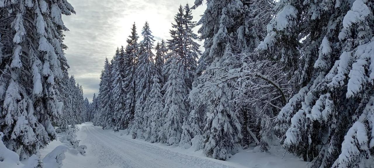 Apartmán Strážný Exteriér fotografie