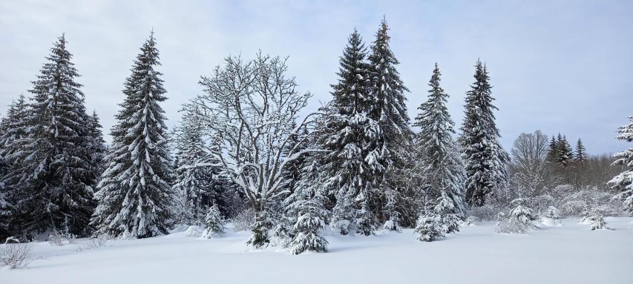 Apartmán Strážný Exteriér fotografie